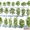 1379398 - Tree 3D Models - Exterior and Architecture 3DS Max - 228 3D Max