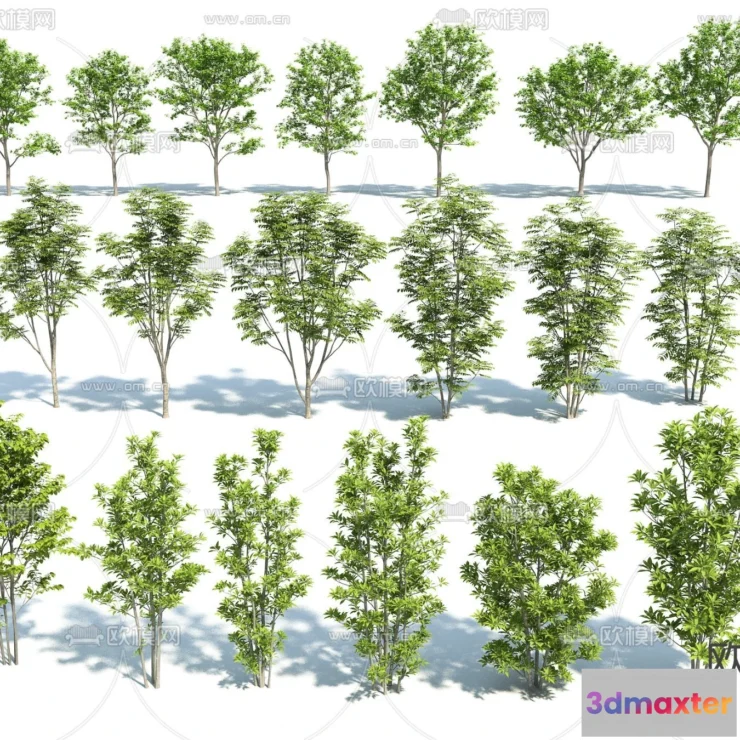 1379398 - Tree 3D Models - Exterior and Architecture 3DS Max - 228 3D Max