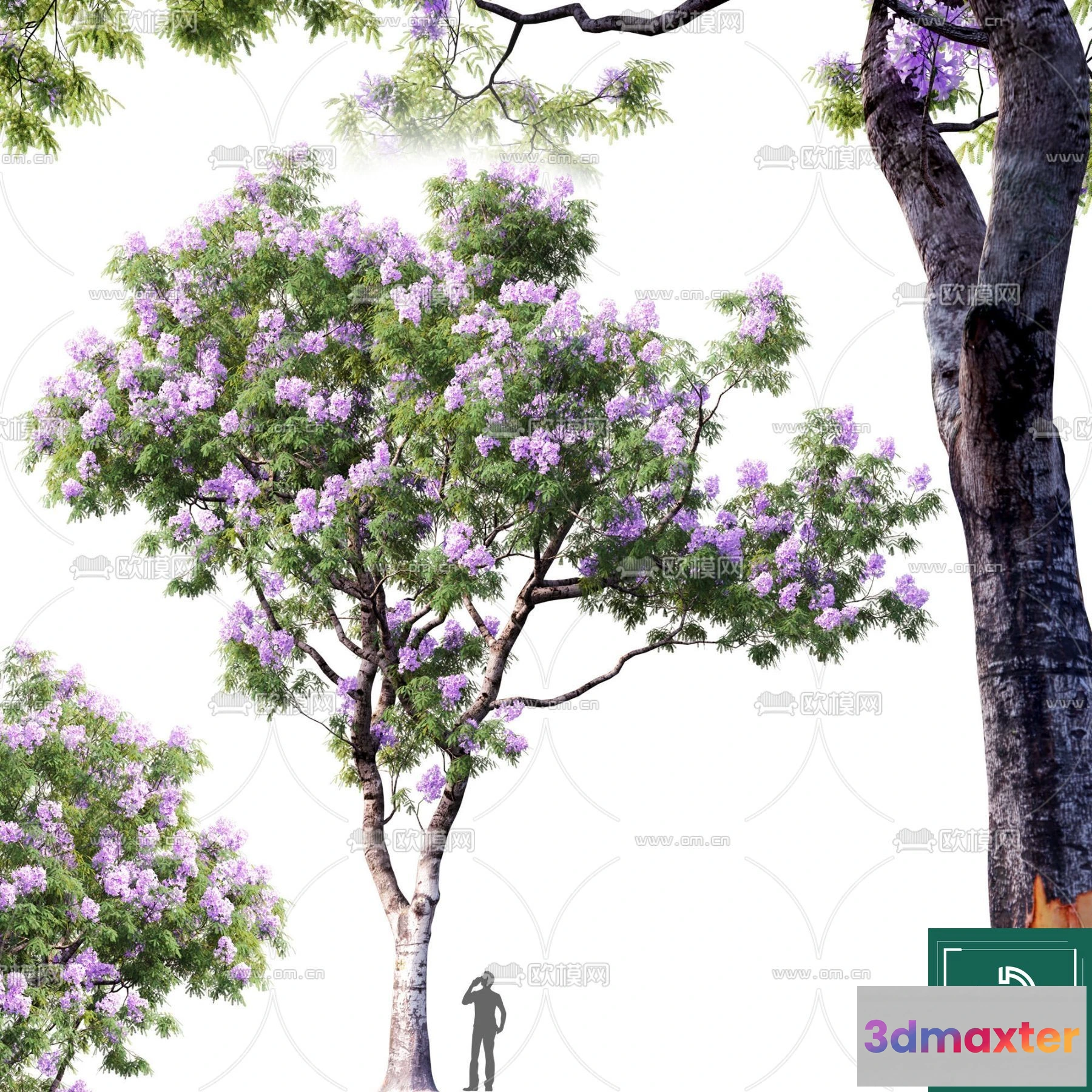 1379593 - Tree 3D Models - Exterior and Architecture 3DS Max - 231 3D Max