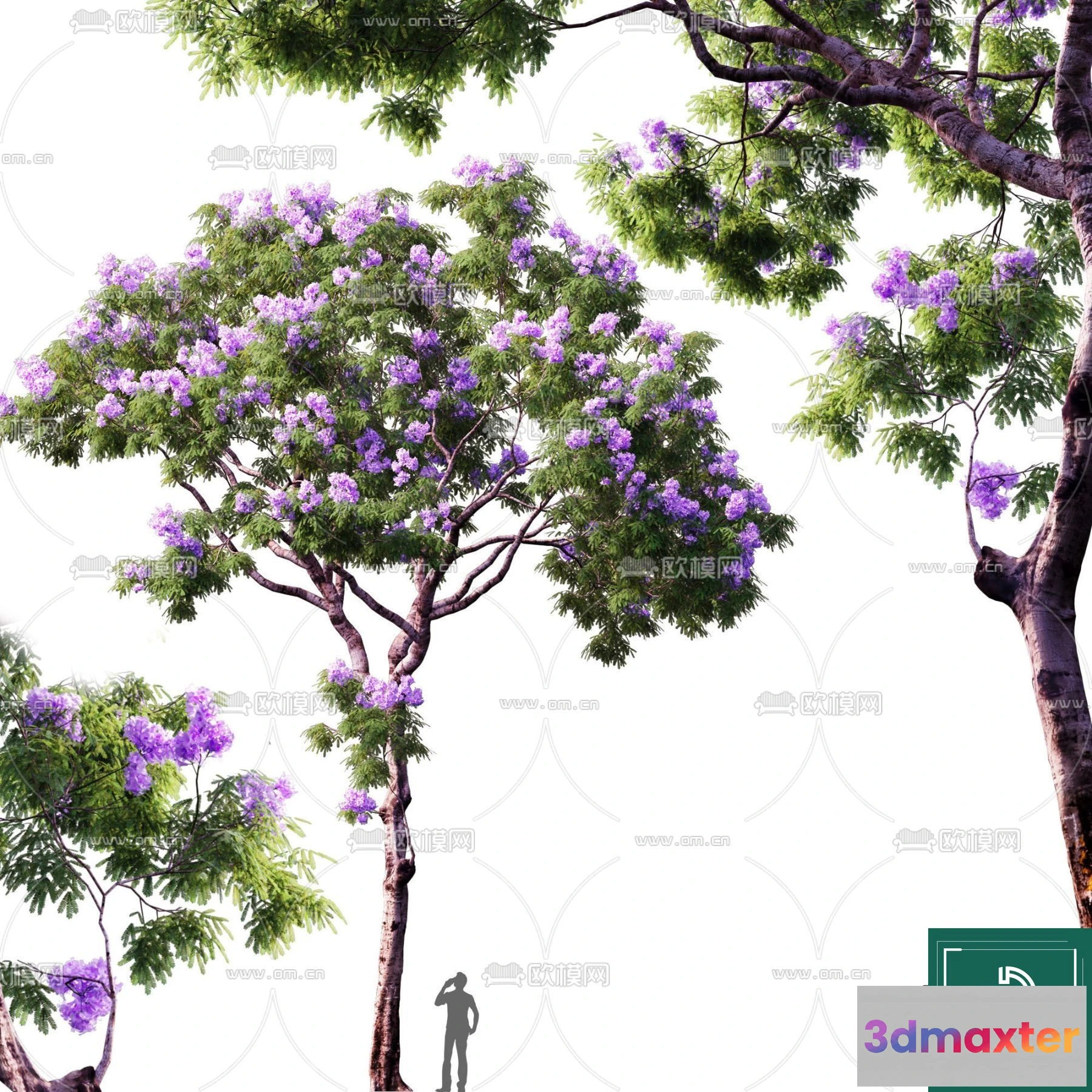 1379659 - Tree 3D Models - Exterior and Architecture 3DS Max - 232 3D Max