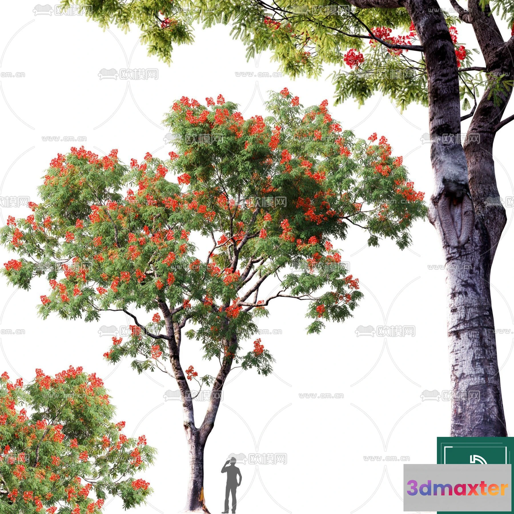 1379868 - Tree 3D Models - Exterior and Architecture 3DS Max - 235 3D Max