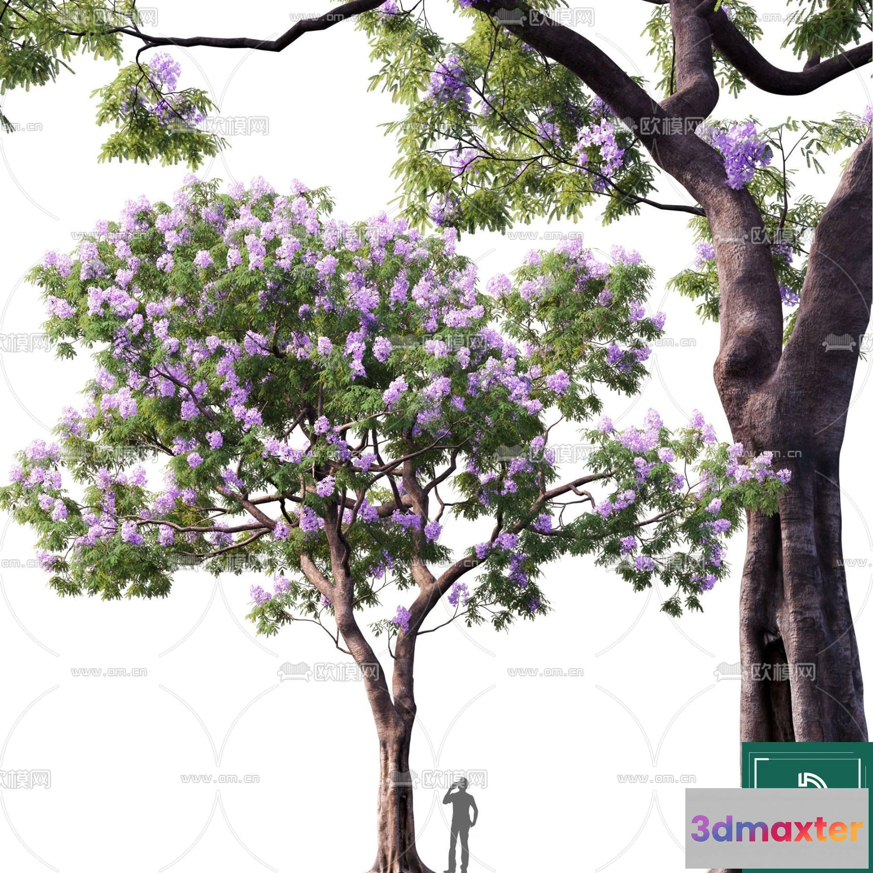 1379915 - Tree 3D Models - Exterior and Architecture 3DS Max - 236 3D Max