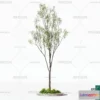 1380169 - Tree 3D Models - Exterior and Architecture 3DS Max - 240 3D Max
