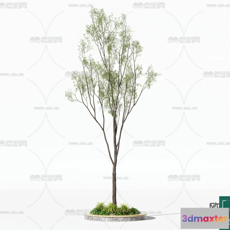 1380169 - Tree 3D Models - Exterior and Architecture 3DS Max - 240 3D Max