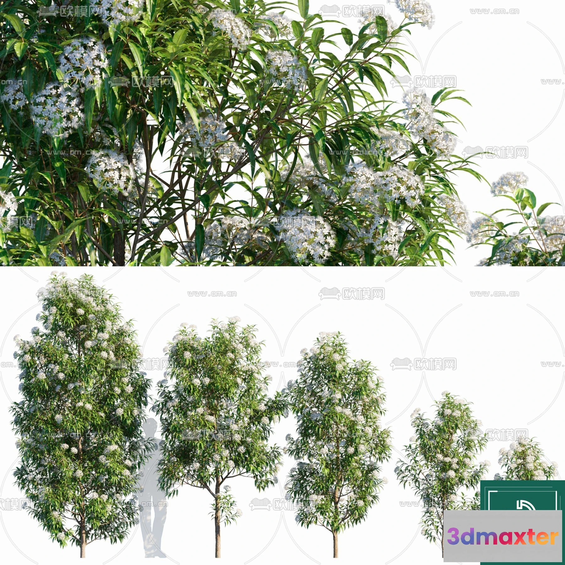 1380511 - Tree 3D Models - Exterior and Architecture 3DS Max - 245 3D Max