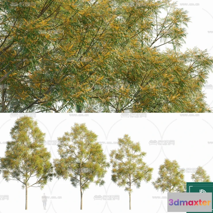 1380577 - Tree 3D Models - Exterior and Architecture 3DS Max - 246 3D Max