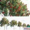 1380639 - Tree 3D Models - Exterior and Architecture 3DS Max - 247 3D Max