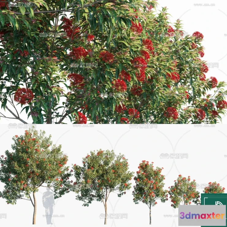 1380639 - Tree 3D Models - Exterior and Architecture 3DS Max - 247 3D Max