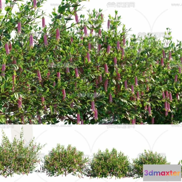 1380827 - Tree 3D Models - Exterior and Architecture 3DS Max - 250 3D Max