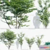 1380969 - Tree 3D Models - Exterior and Architecture 3DS Max - 252 3D Max