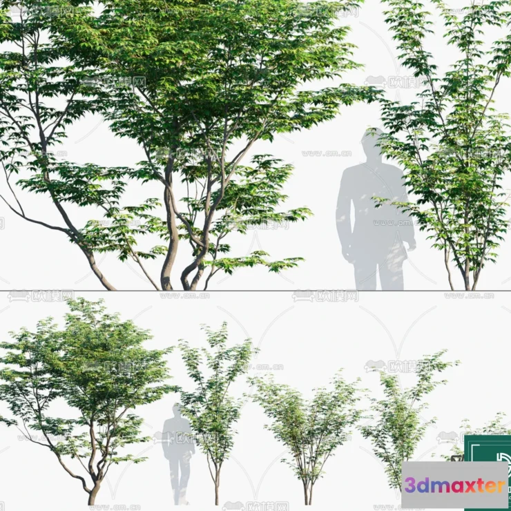 1380969 - Tree 3D Models - Exterior and Architecture 3DS Max - 252 3D Max