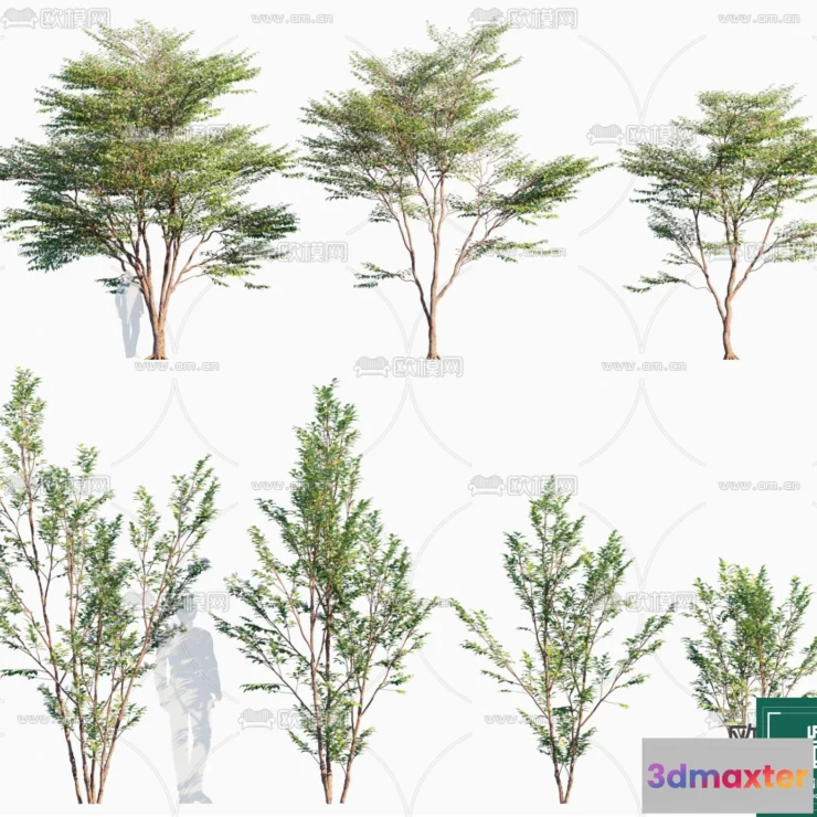 1381025 - Tree 3D Models - Exterior and Architecture 3DS Max - 253 3D Max