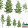 1381089 - Tree 3D Models - Exterior and Architecture 3DS Max - 254 3D Max