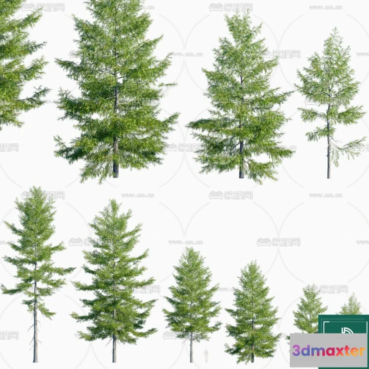 1381089 - Tree 3D Models - Exterior and Architecture 3DS Max - 254 3D Max