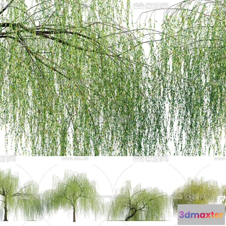 1381168 - Tree 3D Models - Exterior and Architecture 3DS Max - 255 3D Max