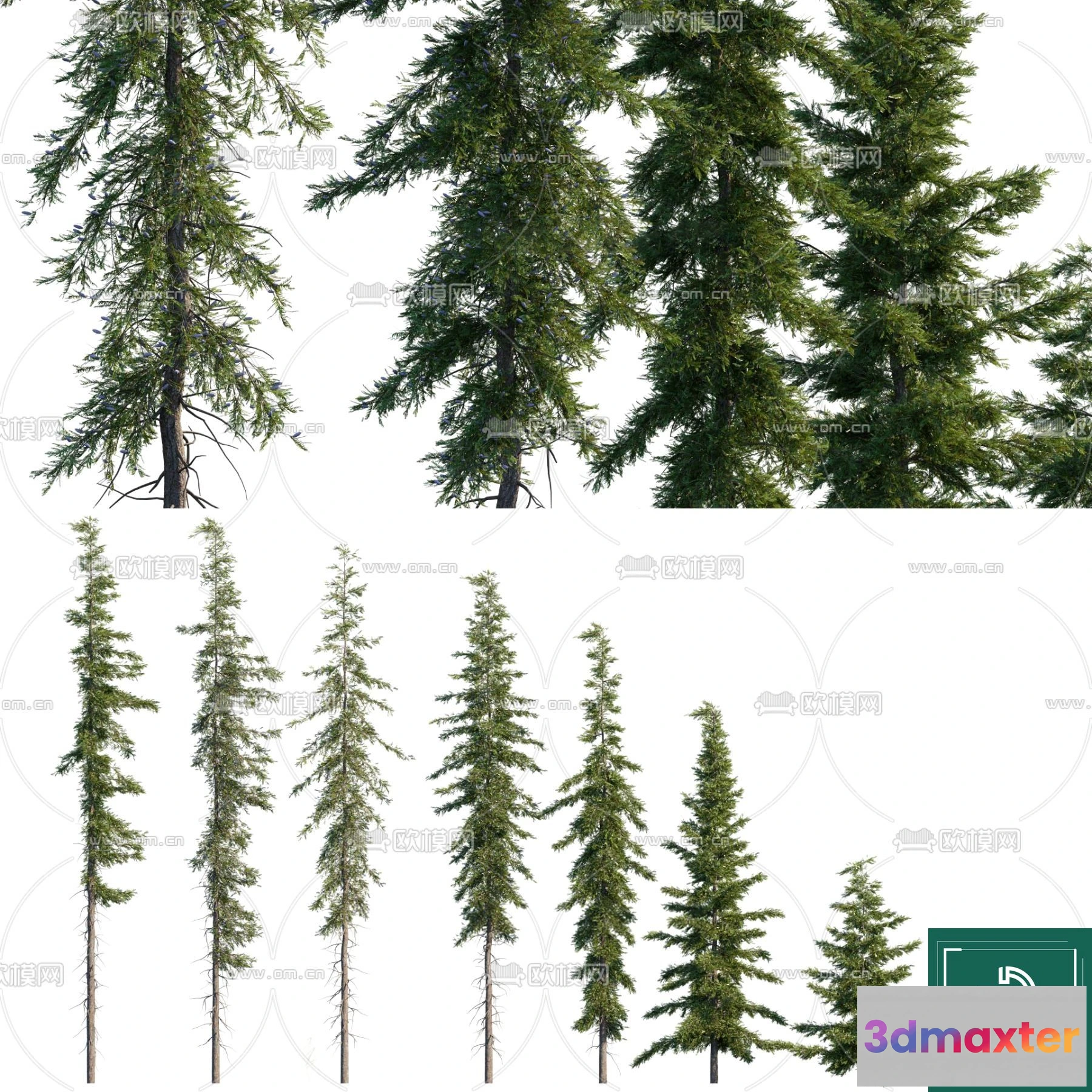 1381231 - Tree 3D Models - Exterior and Architecture 3DS Max - 256 3D Max