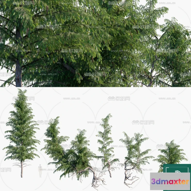 1381295 - Tree 3D Models - Exterior and Architecture 3DS Max - 257 3D Max