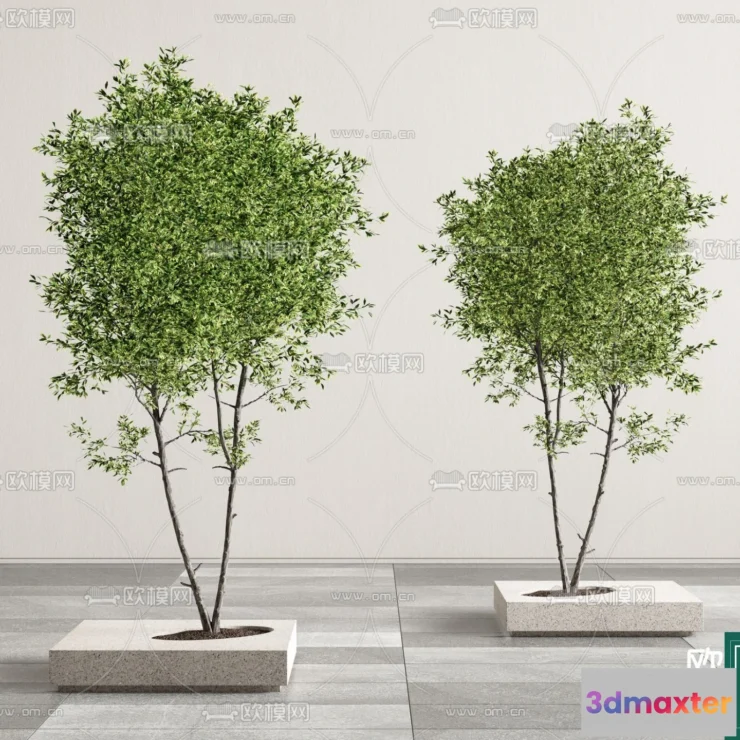 1381432 - Tree 3D Models - Exterior and Architecture 3DS Max - 259 3D Max