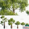 1381498 - Tree 3D Models - Exterior and Architecture 3DS Max - 260 3D Max