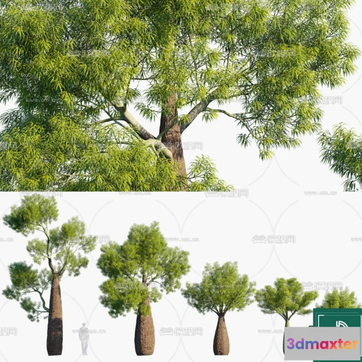 1381498 - Tree 3D Models - Exterior and Architecture 3DS Max - 260 3D Max