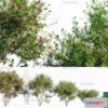 1381625 - Tree 3D Models - Exterior and Architecture 3DS Max - 262 3D Max