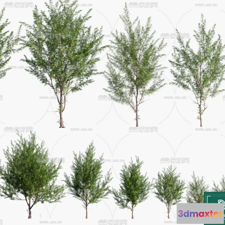 1381687 - Tree 3D Models - Exterior and Architecture 3DS Max - 263 3D Max