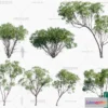 1381758 - Tree 3D Models - Exterior and Architecture 3DS Max - 264 3D Max