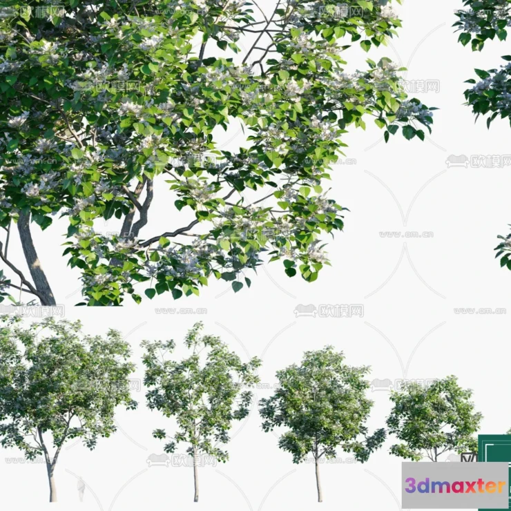 1381819 - Tree 3D Models - Exterior and Architecture 3DS Max - 265 3D Max
