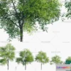 1381887 - Tree 3D Models - Exterior and Architecture 3DS Max - 266 3D Max