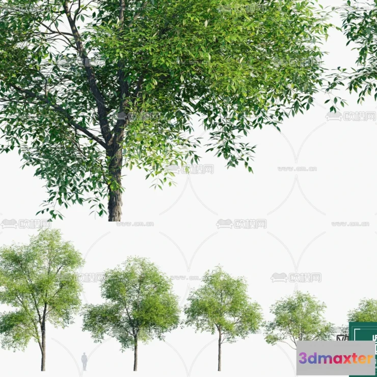 1381887 - Tree 3D Models - Exterior and Architecture 3DS Max - 266 3D Max