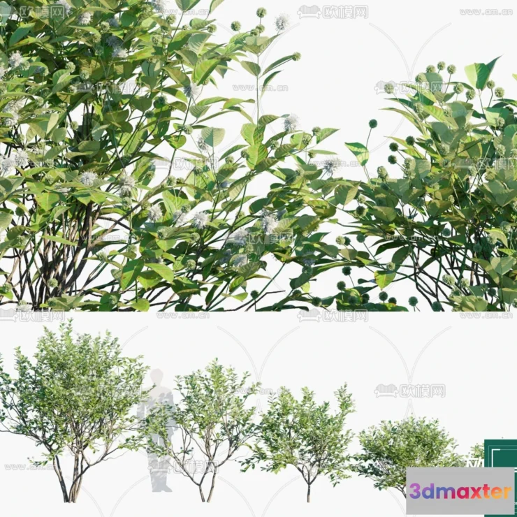 1381955 - Tree 3D Models - Exterior and Architecture 3DS Max - 267 3D Max