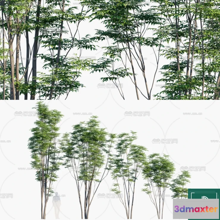 1382026 - Tree 3D Models - Exterior and Architecture 3DS Max - 268 3D Max