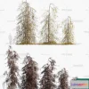 1382090 - Tree 3D Models - Exterior and Architecture 3DS Max - 269 3D Max
