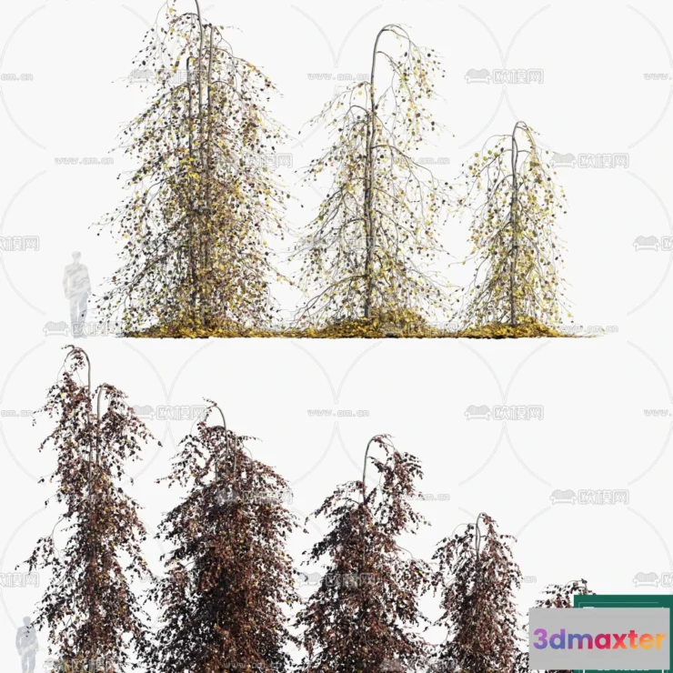 1382090 - Tree 3D Models - Exterior and Architecture 3DS Max - 269 3D Max