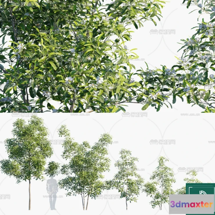 1382227 - Tree 3D Models - Exterior and Architecture 3DS Max - 271 3D Max