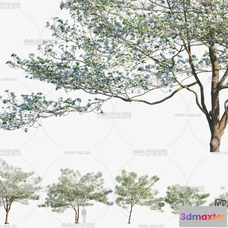 1382347 - Tree 3D Models - Exterior and Architecture 3DS Max - 273 3D Max