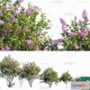 1382414 - Tree 3D Models - Exterior and Architecture 3DS Max - 274 3D Max