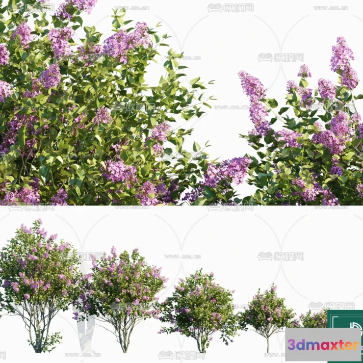 1382414 - Tree 3D Models - Exterior and Architecture 3DS Max - 274 3D Max