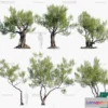 1382607 - Tree 3D Models - Exterior and Architecture 3DS Max - 277 3D Max