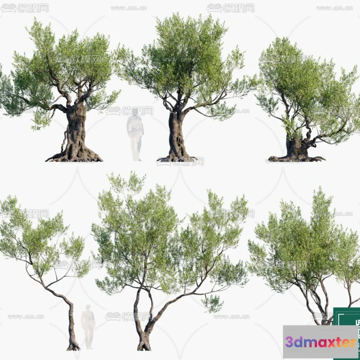 1382607 - Tree 3D Models - Exterior and Architecture 3DS Max - 277 3D Max