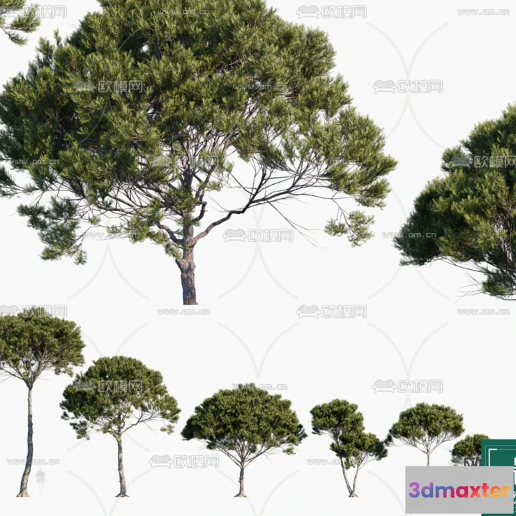 1382733 - Tree 3D Models - Exterior and Architecture 3DS Max - 279 3D Max
