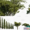 1382795 - Tree 3D Models - Exterior and Architecture 3DS Max - 280 3D Max