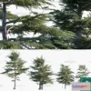 1382927 - Tree 3D Models - Exterior and Architecture 3DS Max - 282 3D Max