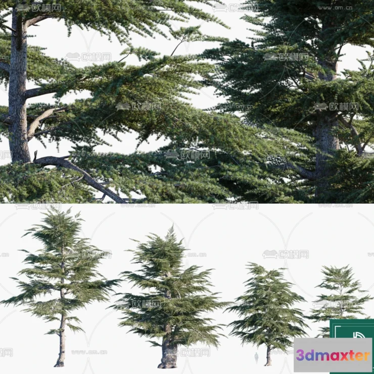1382927 - Tree 3D Models - Exterior and Architecture 3DS Max - 282 3D Max