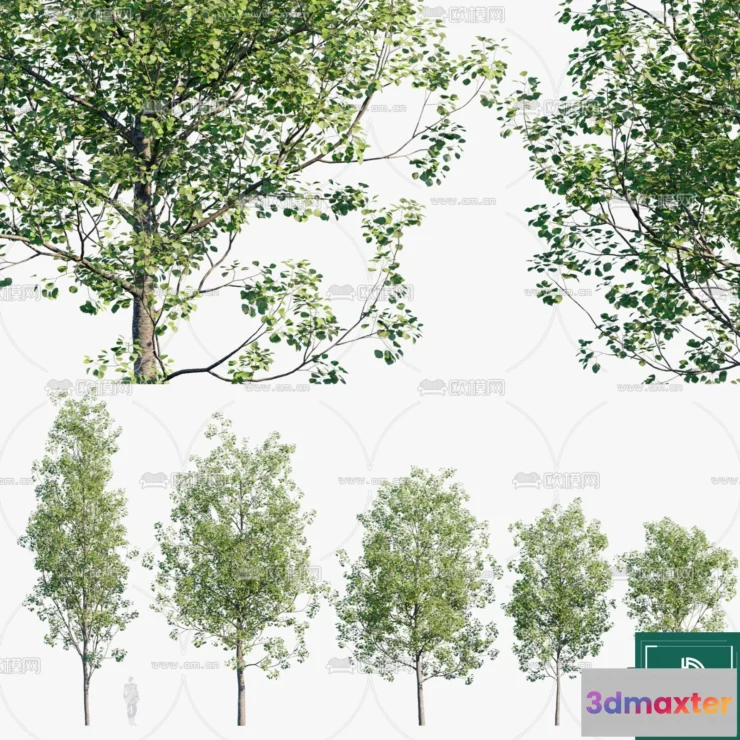1382999 - Tree 3D Models - Exterior and Architecture 3DS Max - 283 3D Max