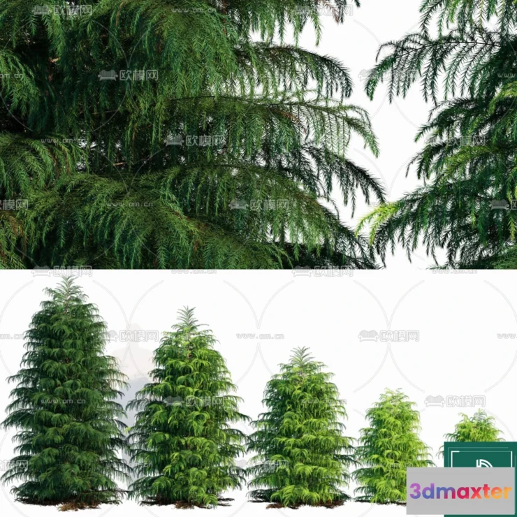 1383196 - Tree 3D Models - Exterior and Architecture 3DS Max - 286 3D Max