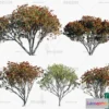 1383449 - Tree 3D Models - Exterior and Architecture 3DS Max - 290 3D Max
