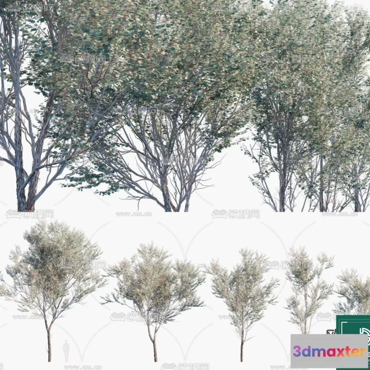 1383516 - Tree 3D Models - Exterior and Architecture 3DS Max - 291 3D Max