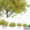 1383581 - Tree 3D Models - Exterior and Architecture 3DS Max - 292 3D Max