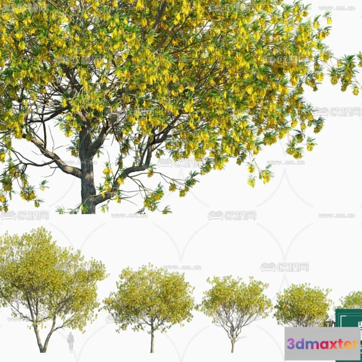 1383581 - Tree 3D Models - Exterior and Architecture 3DS Max - 292 3D Max